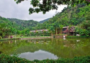 Xishuangbanna-Wild-Elephant-Valley-Nature-Reserve-04