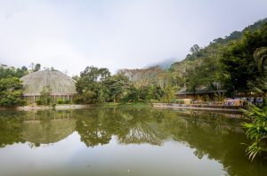 Xishuangbanna-Wild-Elephant-Valley-Nature-Reserve-07