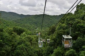 Xishuangbanna-Wild-Elephant-Valley-Nature-Reserve-11