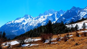 Yak Meadow of Jade Dragon Snow Mountain in Lijiang (14)