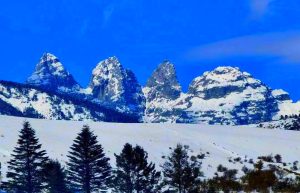 Yak Meadow of Jade Dragon Snow Mountain in Lijiang (15)