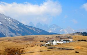 Yak Meadow of Jade Dragon Snow Mountain in Lijiang (19)