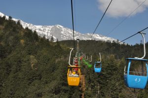 Yak Meadow of Jade Dragon Snow Mountain in Lijiang (8)