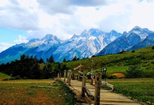 Yak Meadow of Jade Dragon Snow Mountain in Lijiang (9)