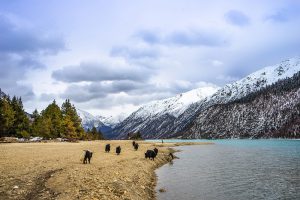 Yarlung-Tsangpo-Grand-Canyon-Nyingchi-20