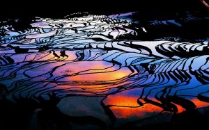 Yuanyang Hani Rice Terraces-001