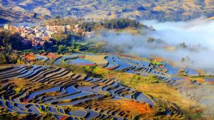 Yuanyang Hani Rice Terraces in Honghe (10)