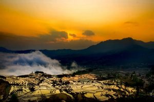 Yuanyang Hani Rice Terraces in Honghe (11)