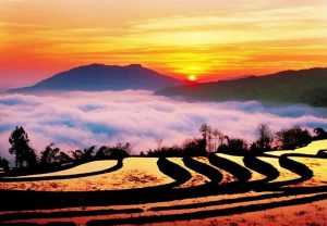 Yuanyang Hani Rice Terraces in Honghe (15)