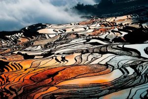 Yuanyang Hani Rice Terraces in Honghe (17)