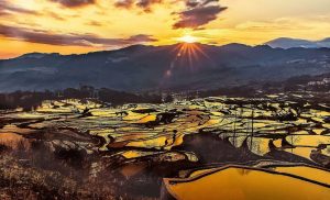 Yuanyang Hani Rice Terraces in Honghe (19)