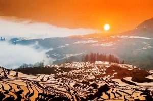 Yuanyang Hani Rice Terraces in Honghe (22)