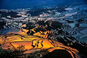 Yuanyang Hani Rice Terraces in Honghe (24)