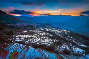 Yuanyang Hani Rice Terraces in Honghe (3)