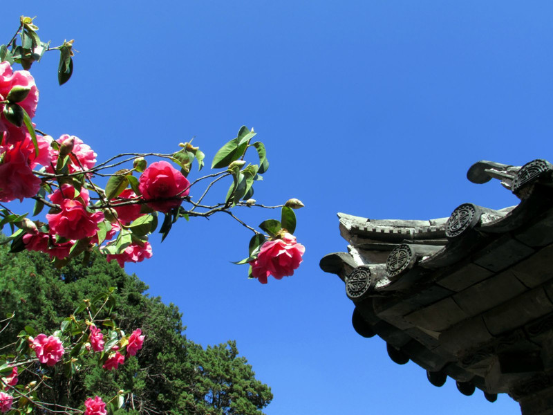 Yufeng-Monastery-Lijiang-07