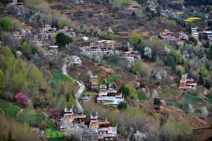 Jiaju-Tibetan-Village-in-Garze-12