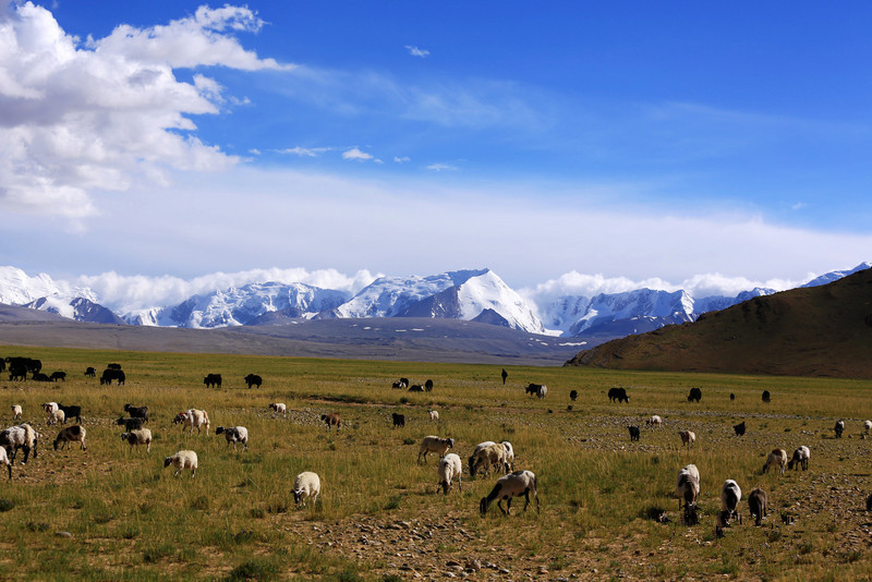 Shishapangma-Mountain-in-Nyalam-County-Shigatse-14