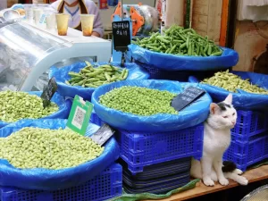 Zhuanxin Farmers' Market in Kunming (9)