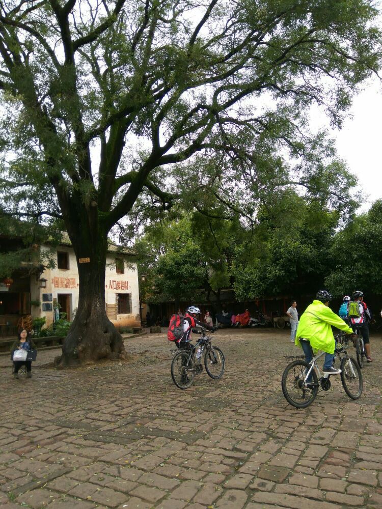 Dali Shaxi Old Town Cycling Tour-11