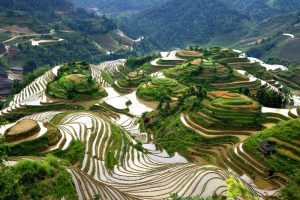 Longsheng-Longji-Rice-Terraces-in-Guilin-03