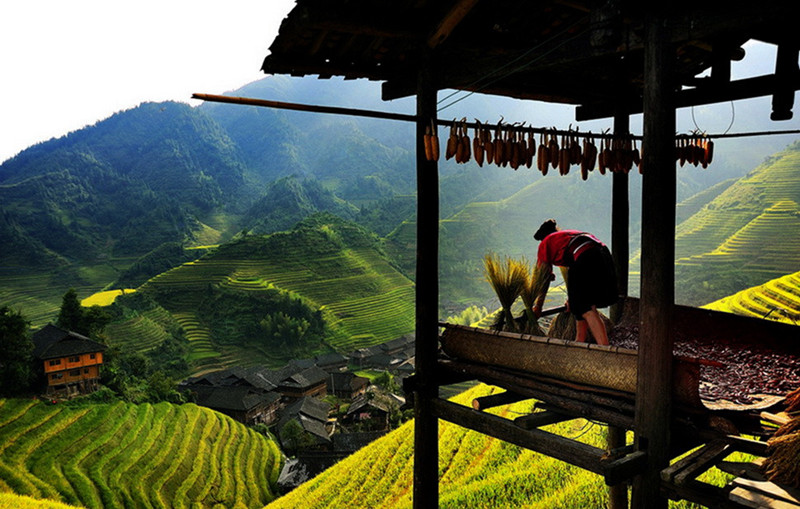 Longsheng-Longji-Rice-Terraces-in-Guilin-07