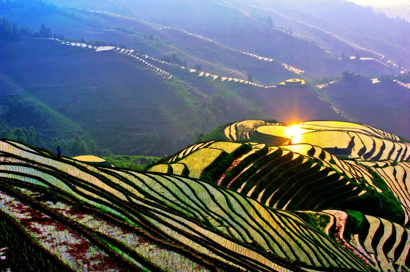 Longsheng-Longji-Rice-Terraces-in-Guilin-08