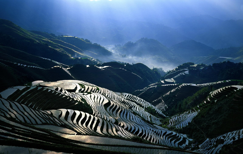 Longsheng-Longji-Rice-Terraces-in-Guilin-11