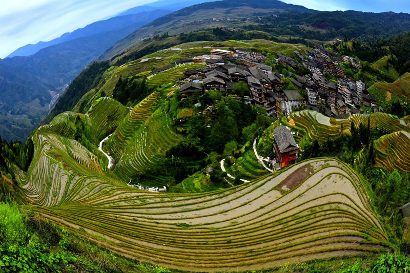 Longsheng-Longji-Rice-Terraces-in-Guilin-13