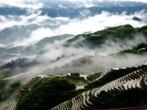 Longsheng-Longji-Rice-Terraces-in-Guilin-14