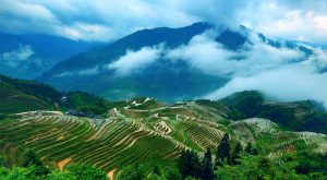 Longsheng-Longji-Rice-Terraces-in-Guilin-17