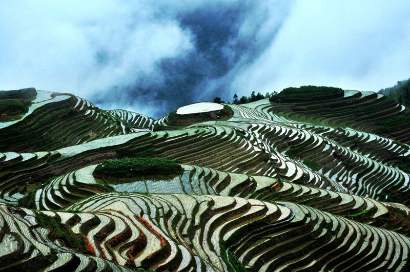 Longsheng-Longji-Rice-Terraces-in-Guilin-22