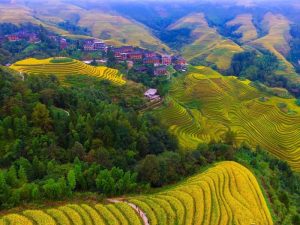 Longsheng-Longji-Rice-Terraces-in-Guilin-27