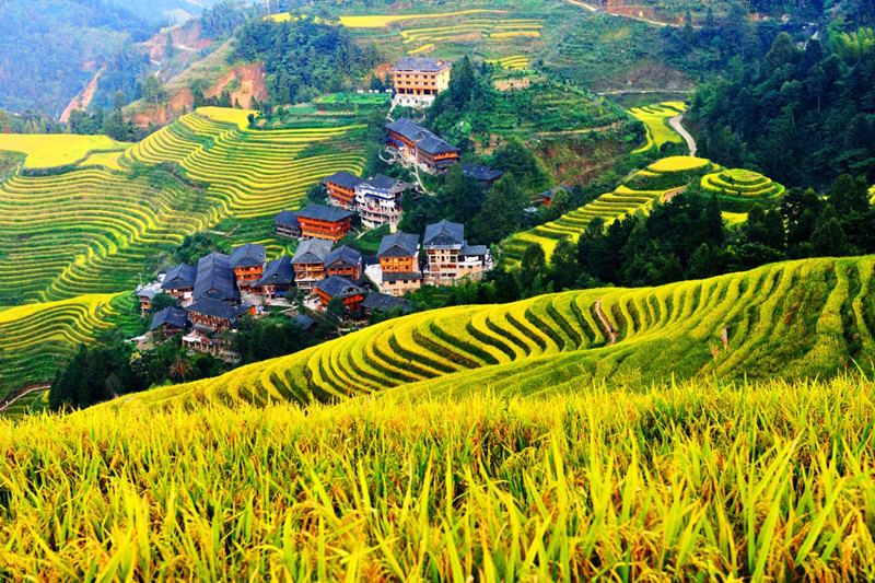 Longsheng-Longji-Rice-Terraces-in-Guilin-29