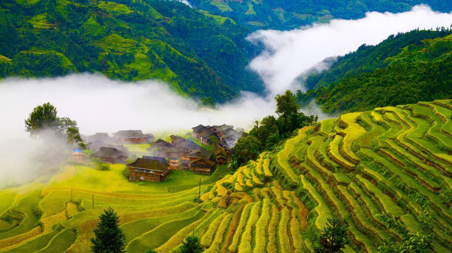 Longsheng-Longji-Rice-Terraces-in-Guilin-30