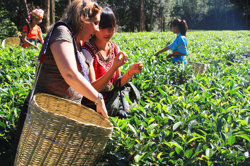 9 Days Best Yunnan Classic Tour with Dianhong Black Tea Culture