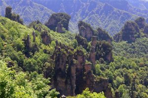 Tianzi-Mountain-Nature-Reserve-in-Zhangjiajie-08