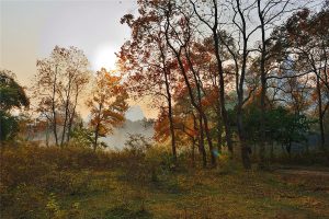 Yangdi-Scenic-Area-in-Yangshuo-County-Guilin-04