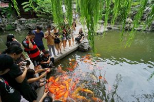 Yuyuan-Garden-in-Shanghai-39