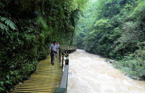 Zhangjiajie-Grand-Canyon-02