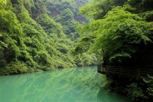 Zhangjiajie-Grand-Canyon-06