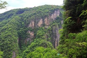 Zhangjiajie-Grand-Canyon-08