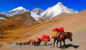 Druk Path in Paro and Thimphu Valleys in Bhutan (7)