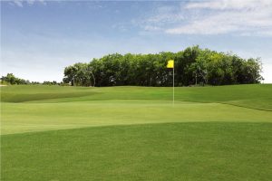 Grand Phnom Penh Golf Club (9)