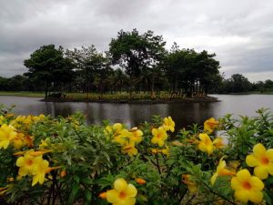 Royal Mingalardon Golf and Country Club in Yangon, Myanmar (1)