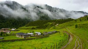 Sakteng Wildlife Sanctuary in Trashigang, Bhutan (1)