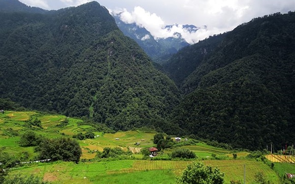 Wangchuck Centennial National Park in Bhutan (2)