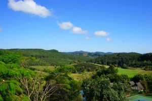 XishuangBanna Wild Elephant Golf Club in Yunnan (4)