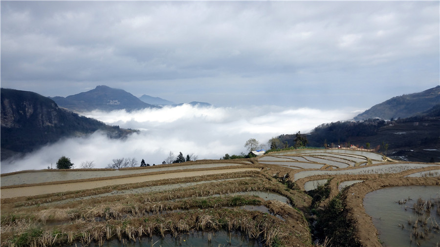 Azheke Rice Terraces in Yuanyang County (11)