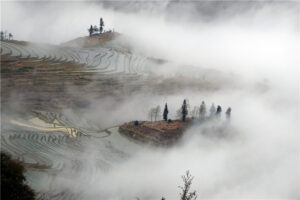 Azheke Rice Terraces in Yuanyang County (13)