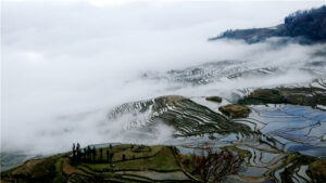 Azheke Rice Terraces in Yuanyang County (14)